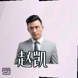 赵凯